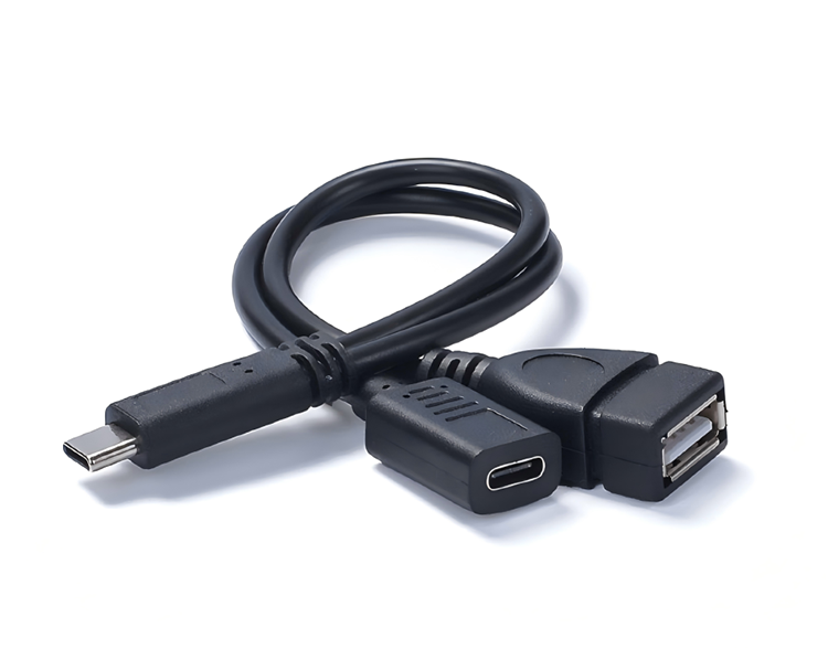TYPE-C 2 in 1 OTG with IC sound card live broadcast cable rechargeable PD10W adapter cable