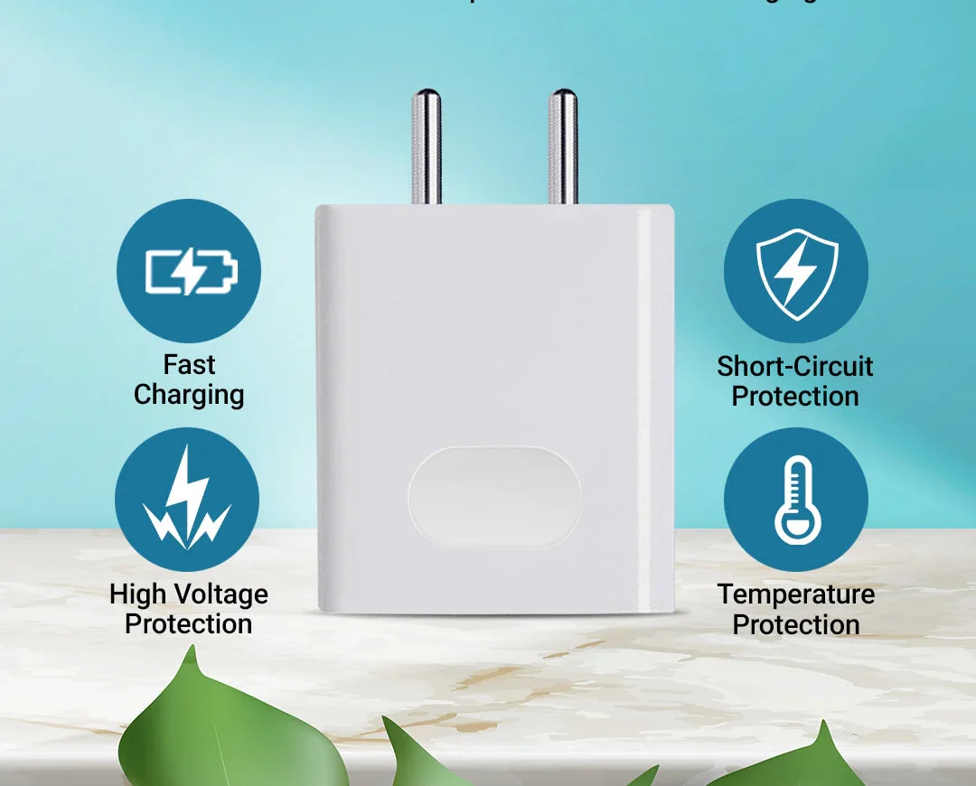 charger Comprehensive Safety Protections